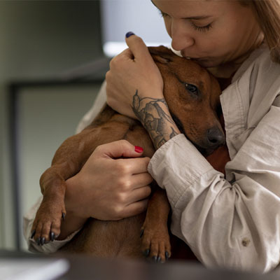Especialidade Veterinária Oncologia