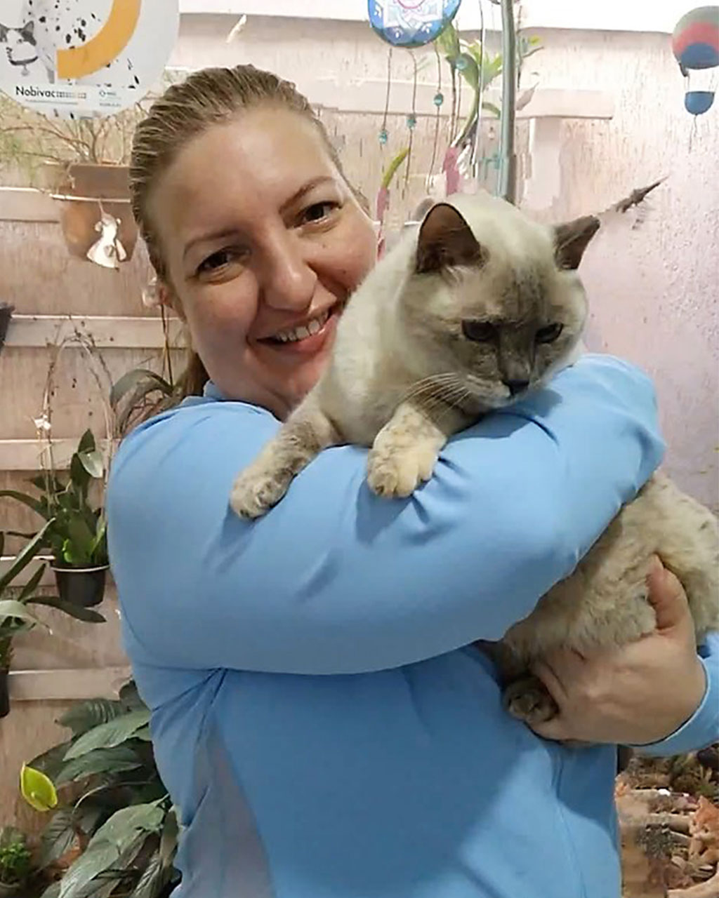 Valéria Milani Gastroenterologia e Medicina Felina